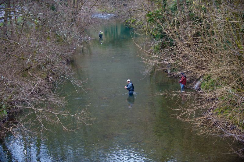 pesca mosca Tolosako araxes 02