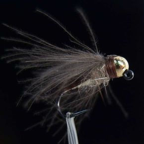 Ninfa Urruzuno-U59 T